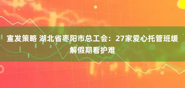 宣发策略 湖北省枣阳市总工会：27家爱心托管班缓解假期看护难