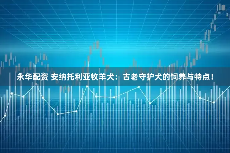 永华配资 安纳托利亚牧羊犬：古老守护犬的饲养与特点！