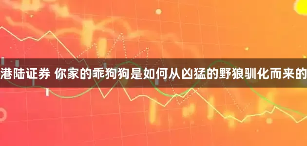 港陆证券 你家的乖狗狗是如何从凶猛的野狼驯化而来的